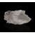 Fluorite with Pyrite phantoms - La Viesca  M05110